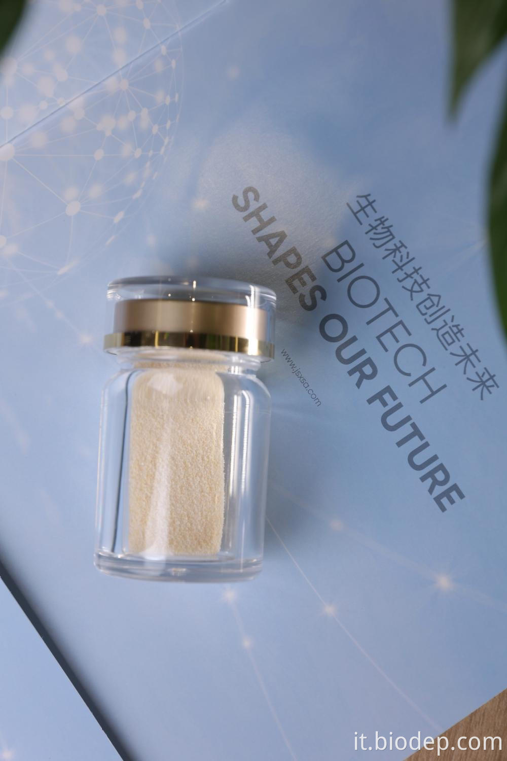 Akkermansia Muciniphila Akkermansia Muciniphila